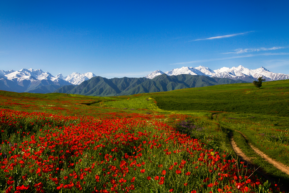 Central Tibet-Kyi Chu Valley Tour -08 Days